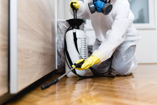 Best Flea Control Services  in Koloa, HI
