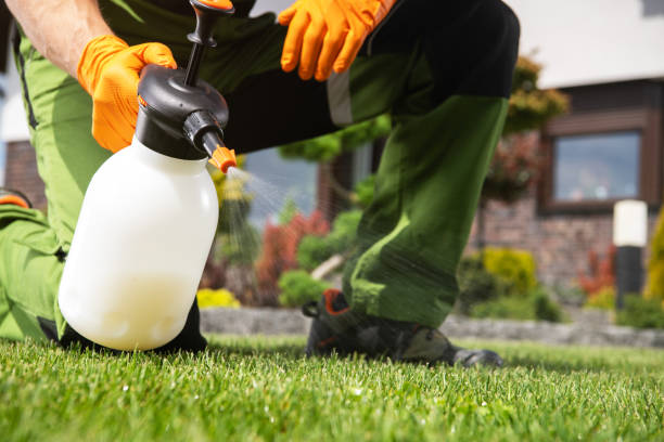 Best Affordable Pest Control Services  in Koloa, HI