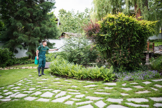 Best Mosquito Control Services  in Koloa, HI