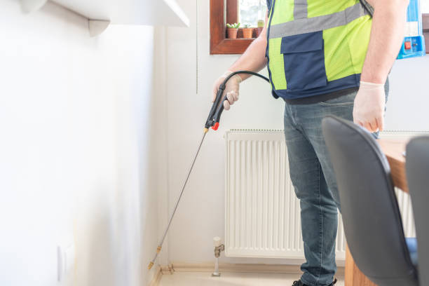 Best Affordable Pest Control Services  in Koloa, HI