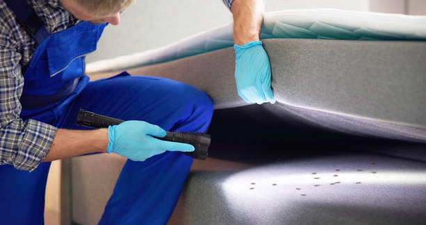 Pest Prevention Services in Koloa, HI