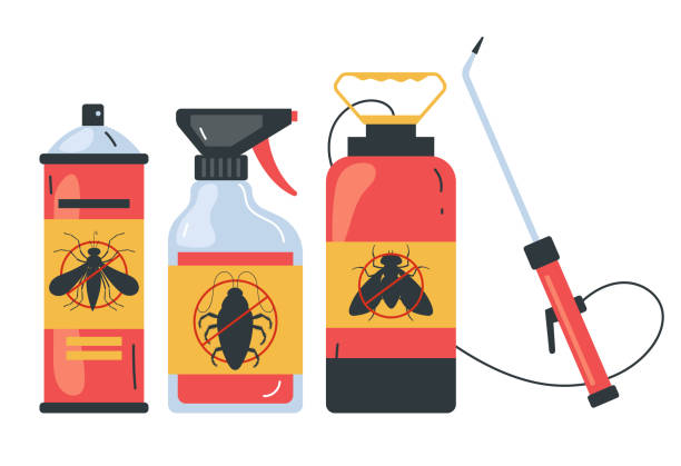 Best Local Pest Control Services  in Koloa, HI