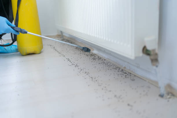Pest Control for Restaurants in Koloa, HI