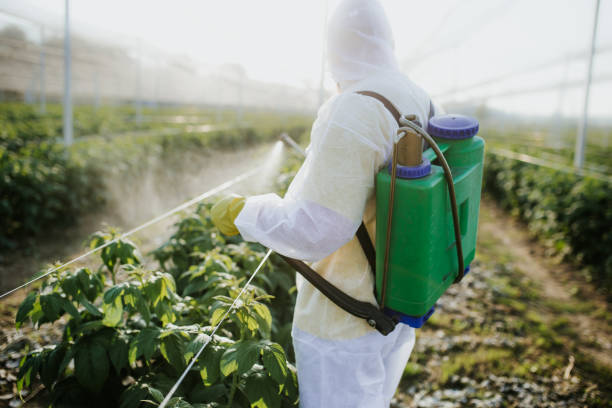 Best Exterminator Services  in Koloa, HI